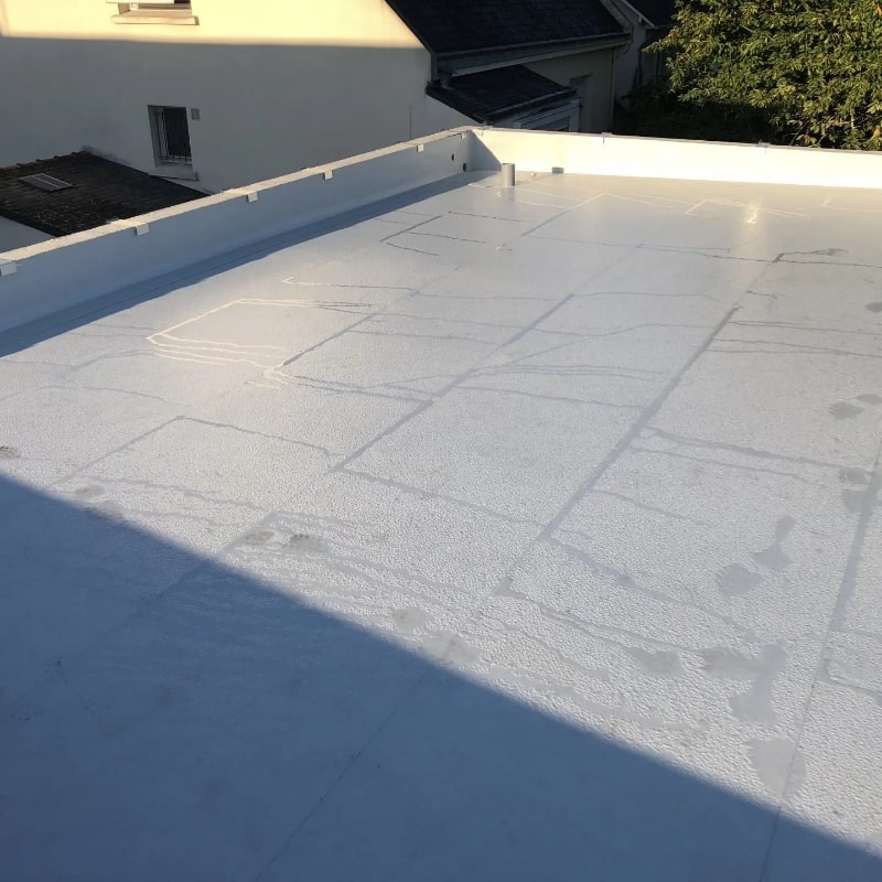 Sarl Bioret Fils Couvreur Nort Sur Erdre Realisation 6 1